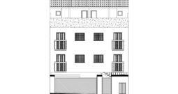 araci-illustra-planta